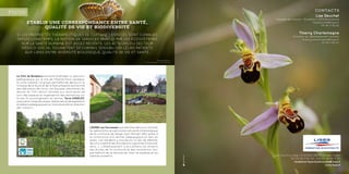 Contacts
Lise Dauchet
Chargée de mission - Fondation LISEA Biodiversité
lise.dauchet@lisea.fr
05 49 11 86 82
Thierry Charlemagne
Directeur du développement durable
thierry.charlemagne@lisea.fr
05 49 11 86 67
Rue Caroline Aigle, CS 60484, 86012 Poitiers Cedex
Tél. 05 49 11 80 00 . Fax 05 49 88 17 50
fondation-lisea-biodiversite@lisea.fr
www.lisea.fr
Le CHU de Bordeaux souhaite aménager un parcours
pédagogique sur le site de l’Hôpital Haut-Lévêque,
en zone urbaine. Ce projet permettra de découvrir la
richesse de la faune et de la flore présente à proximité
des bâtiments de soins. Les équipes d’entretien du
sentier du CHU seront formées aux techniques de
suivi des espèces et organiseront des animations sur
le site. En prolongement du sentier, Terre d’ADELES,
association d’agroécologie, réalise des aménagements
et ateliers pédagogiques sur la biodiversité en direction
des visiteurs.
L’EHPAD Les Tournesols souhaite faire découvrir à toutes
les générations le patrimoine naturel et minéralogique
de la commune de Dangé Saint Romain (86) grâce à
la constitution d’un sentier pédagogique au sein du
jardin. Les résidents y trouveront un lieu de détente,
de convivialité et de stimulations cognitives (motricité,
sens...). L’établissement y accueillera les enfants
des écoles de la commune et des animations leur
permettront de se familiariser avec les espèces et les
habitats présents.
Si les propriétés thérapeutiques de certaines espèces sont connues
depuis longtemps, la notion de services rendus par les écosystèmes
sur la santé humaine est assez récente. Les acteurs du secteur
médico-social souhaitent désormais sensibiliser leurs patients
aux liens entre diversité biologique, qualité de vie et santé.
Etablir une correspondance entre santé,
qualité de vie et biodiversité
FOCUS
Azuré commun
© Samuel Ducept - Vienne Nature
Mare du CHU
© Cécile Saez
Sentier en travaux
© EHPAD Les Tournesols
Travaux d’améngaments
© EHPAD Les Tournesols
©MarieBarneix
 