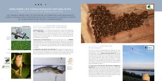 11
les travaux menés avec le soutien de la fondation lisea biodiversité
visent à poursuivre la recherche de solutions dans la prise en compte
de la biodiversité des projets d’aménagement.
améliorER LES connaissances naturalistes,
dans un souci de préservation
A X E 1
10
Apporter des réponses concrètes
aux gestionnaires des territoires
L’entreprise Sorin (17) a élaboré en partenariat avec les entreprises
CTL et AER Metal, une unité de traitement qui réduit le volume de
jussie et récolte les jus après pressage. Cet outil permettrait aux
gestionnaires de poursuivre le travail de lutte contre les espèces
invasives, en l’inscrivant dans un schéma économique pérenne par
la valorisation de la jussie.
L’association Cistude Nature (33), en partenariat avec le GREGE,
souhaite établir une méthode optimale de détection des petits
mammifères (Muscardin, Musaraigne aquatique, Campagnol amphibie,
carnivores, etc) qui pourra être reprise à des échelles différentes et
constituer un indicateur de biodiversité pour les habitats linéaires et
corridors.
La Fédération de pêche de la Gironde développe un réseau de suivi
de l’état de santé des poissons et de leur habitat. Ces observations
pourront éclairer les diagnostics de pollutions, les perturbations des
milieux aquatiques et les actions en faveur de la qualité de l’eau.
Étudier les continuités
écologiques
Suite aux travaux d’aménagement réalisés au sein
d’un ancien moulin de la commune d’Annepont (17)
réhabilité en mairie, Nature Environnement 17 étudie
les capacités d’adaptation d’une des plus importantes
colonies de chauves-souris de Charente-Maritime,
qui y avait établi leur gîte avant les travaux. Maxime
Leuchtmann, en charge du projet, précise : « Nous
étudions la recolonisation du lieu grâce à l’installation
de caméras, ainsi que les territoires de chasse par la
pose d’émetteurs radio ».
La Ligue pour la Protection des Oiseaux Délégation
Aquitaine souhaite expérimenter une méthode
d’évaluation des corridors de vols des chauves-souris,
grâce à l’utilisation de ballons captifs gonflés à l’hélium
embarquant des enregistreurs d’ultrasons, permettant
d’évaluer les déplacements à 90 mètres d’altitude. Ces
données permettront d’identifier des meilleures zones
d’implantation d’éoliennes en Gironde.
Unité de
traitement
de Jussie
© Sorin
Jussie
© Fotolia
Brochet atteint
d’altérations
morphologiques
© FDAAPPMA33
Muscardin
Ballon de détection
de chauve-souris
© LPO Aquitaine
Colonie de chauve-souris
© Maxime Leuchtmann
 