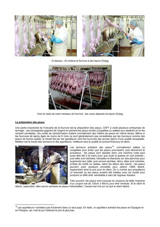 Ci-dessus : On enlève la fourrure à des lapins Orylag




                    Voici le reste de votre manteau de fourrure : les corps dépecés de lapins Orylag


La préparation des peaux

Une partie importante de l’industrie de la fourrure est la préparation des peaux. CAFT a visité plusieurs entreprises de
tannage ; ces compagnies gagnent de l’argent en prenant les peaux brutes (congelées ou salées) aux abattoirs et en les
rendant vendables. Les unités de transformation traitent normalement des milliers de peaux en même temps. Même si
les fourrures de lapins âgés de moins de 6 mois ne sont généralement pas considérées par les fourreurs comme des
peaux de bonne qualité, le travail fait par les apprêteurs rend les fourrures des jeunes lapins d’une qualité acceptable.
Meilleur est le travail des tanneurs et des apprêteurs, meilleure sera la qualité du produit final pour le client.
                                                                                          18
                                                   Les tanneurs achètent des peaux , normalement salées ou
                                                   congelées pour éviter que les peaux pourrissent, puis démarrent le
                                                   processus : les peaux sont placées dans une machine (cela peut
                                                   aussi être fait à la main) pour que toute la graisse en soit enlevée ;
                                                   puis elles sont séchées, trempées et étendues sur des planches pour
                                                   augmenter leur taille, puis encore séchées. Alors, elles sont colorées,
                                                   ornées de motifs ou rasées, selon les désirs des clients ; les peaux
                                                   peuvent subir plusieurs procédés pour obtenir l’effet désiré,
                                                   augmentant ainsi le prix pour le client. On a montré aux enquêteurs
                                                   un exemple où les peaux avaient été traitées avec de l’acide pour
                                                   produire un effet strié, semblable à celui de l’agneau Karakul.

                                                  Très souvent, les peaux sont cousues en coupons (la taille moyenne
                                                  d’un coupon est de 120cm x 60cm) pour être vendues. Si le client le
désire, cependant, elles seront vendues en peaux individuelles ; l’accent est mis sur ce que le client désire.




18
  Les apprêteurs n’achètent pas forcément dans un seul pays. En Italie, un apprêteur achetait les peaux en Espagne et
en Pologne, car c’est là qu’il obtenait le prix le plus bas.
 