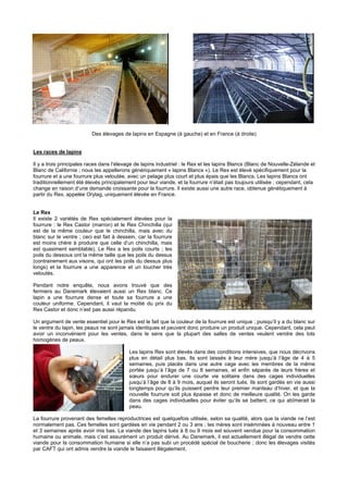 Des élevages de lapins en Espagne (à gauche) et en France (à droite)


Les races de lapins

Il y a trois principales races dans l’élevage de lapins industriel : le Rex et les lapins Blancs (Blanc de Nouvelle-Zélande et
Blanc de Californie ; nous les appellerons génériquement « lapins Blancs »). Le Rex est élevé spécifiquement pour la
fourrure et a une fourrure plus veloutée, avec un pelage plus court et plus épais que les Blancs. Les lapins Blancs ont
traditionnellement été élevés principalement pour leur viande, et la fourrure n’était pas toujours utilisée ; cependant, cela
change en raison d’une demande croissante pour la fourrure. Il existe aussi une autre race, obtenue génétiquement à
partir du Rex, appelée Orylag, uniquement élevée en France.


Le Rex
Il existe 2 variétés de Rex spécialement élevées pour la
fourrure : le Rex Castor (marron) et le Rex Chinchilla (qui
est de la même couleur que le chinchilla, mais avec du
blanc sur le ventre ; ceci est fait à dessein, car la fourrure
est moins chère à produire que celle d’un chinchilla, mais
est quasiment semblable). Le Rex a les poils courts ; les
poils du dessous ont la même taille que les poils du dessus
(contrairement aux visons, qui ont les poils du dessus plus
longs) et la fourrure a une apparence et un toucher très
veloutés.

Pendant notre enquête, nous avons trouvé que des
fermiers au Danemark élevaient aussi un Rex blanc. Ce
lapin a une fourrure dense et toute sa fourrure a une
couleur uniforme. Cependant, il vaut la moitié du prix du
Rex Castor et donc n’est pas aussi répandu.

Un argument de vente essentiel pour le Rex est le fait que la couleur de la fourrure est unique ; puisqu’il y a du blanc sur
le ventre du lapin, les peaux ne sont jamais identiques et peuvent donc produire un produit unique. Cependant, cela peut
avoir un inconvénient pour les ventes, dans le sens que la plupart des salles de ventes veulent vendre des lots
homogènes de peaux.

                                          Les lapins Rex sont élevés dans des conditions intensives, que nous décrivons
                                          plus en détail plus bas. Ils sont laissés à leur mère jusqu’à l’âge de 4 à 5
                                          semaines, puis placés dans une autre cage avec les membres de la même
                                          portée jusqu’à l’âge de 7 ou 8 semaines, et enfin séparés de leurs frères et
                                          sœurs pour endurer une courte vie solitaire dans des cages individuelles
                                          jusqu’à l’âge de 8 à 9 mois, auquel ils seront tués. Ils sont gardés en vie aussi
                                          longtemps pour qu’ils puissent perdre leur premier manteau d’hiver, et que la
                                          nouvelle fourrure soit plus épaisse et donc de meilleure qualité. On les garde
                                          dans des cages individuelles pour éviter qu’ils se battent, ce qui abîmerait la
                                          peau.

La fourrure provenant des femelles reproductrices est quelquefois utilisée, selon sa qualité, alors que la viande ne l’est
normalement pas. Ces femelles sont gardées en vie pendant 2 ou 3 ans ; les mères sont inséminées à nouveau entre 1
et 3 semaines après avoir mis bas. La viande des lapins tués à 8 ou 9 mois est souvent vendue pour la consommation
humaine ou animale, mais c’est assurément un produit dérivé. Au Danemark, il est actuellement illégal de vendre cette
viande pour la consommation humaine si elle n’a pas subi un procédé spécial de boucherie ; donc les élevages visités
par CAFT qui ont admis vendre la viande le faisaient illégalement.
 