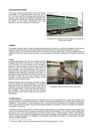 Le transport vers l’abattoir

Il arrive très souvent que des lapins meurent en chemin
vers l’abattoir ; on a rapporté des taux aussi hauts que 7 à
     13
8 % . Cela est souvent dû à la façon dont les lapins sont
entassés ; des virus peuvent facilement se répandre et la
faible ventilation entraîne des problèmes respiratoires. Des
os cassés et des lésions traumatiques sont aussi
fréquents, à cause des mauvaises manipulations.




                                                                   Les lapins sont entassés dans des caisses et envoyés par
                                                                                     camion vers l’abattoir


L’abattoir

En Espagne, France et Italie, il existe des abattoirs spécifiques pour les lapins, en dehors des élevages. Ils fonctionnent
depuis de nombreuses années, du fait que l’élevage commercial de lapins a toujours été répandu dans ces pays.
L’éleveur reçoit un prix fixe (fluctuant selon le prix du marché) pour chaque lapin entier ; un revenu supplémentaire est
maintenant créé par la vente des peaux de lapin, qui sont devenues une branche rentable de l’industrie de la viande de
lapin.


 Le Rex
La plupart des élevages de lapins Rex visitées assuraient
l’abattage elles-mêmes, deux fois par an (début de l’hiver
et fin de l’hiver). On tue les lapins en leur tranchant la
gorge et en drainant le sang. Les animaux sont assommés
soit par un coup à la nuque à l’aide d’un bâton (dans les
petits élevages), soit par électrocution (dans les plus
grandes fermes ou les abattoirs industriels). Le procédé est
semblable à celui utilisé pour les renards et les visons. La
graisse de la peau est grattée et les peaux sont mises dans
des bidons remplis de sciure pour enlever la graisse
résiduelle ; puis les peaux sont mises à sécher sur des
planches, dans des pièces aérées.

Quelques éleveurs avaient l’habitude d’envoyer les lapins
dans des abattoirs de lapins spécifiques. Ces abattoirs
étaient payés plus pour manipuler les peaux avec plus de
précaution, comme ces dernières sont plus chères que les                Un éleveur montre comment il assomme les Rex
peaux de lapins blancs. Le lapin Rex peut peser jusqu’à 4
kg à l’abattage ; cela est plus lourd que pour les lapins
blancs (environ 2 kg) et donc doit être prix en compte lors
de l’abattage.


Les lapins blancs
Les lapins blancs sont normalement vendus à un abattoir, où les animaux sont assommés, pendus par les pattes et ont
la gorge tranchée. Ils sont transportés par une chaîne de transport (ressemblant à ce qui existe dans d’autres types
d’abattoirs) ; ils sont saignés ; on leur enlève leur peau ; on les vide de leurs entrailles et on les dépèce et conditionne
pour la consommation de viande. Les peaux sont ensuite congelées et envoyées au client ou envoyées non congelées,
mais salées, aux tanneurs.

Un élevage de lapins visité par CAFT en Italie avait son propre abattoir sur site; l’éleveur déclarait que cet abattoir était
conforme aux standards de l’UE, puisque la viande était vendue commercialement. Il n’y avait pas d’autre abattoir dans
les environs, donc, pour éviter des frais pour envoyer les lapins dans un abattoir éloigné, l’éleveur avait décidé de
démarrer le sien. Cinq personnes travaillaient dans cette chaîne d’abattage, qui ressemblait à d’autres que CAFT avait
visité. Ils vendaient les peaux non congelées à une entreprise de tannage de la localité ; ces peaux étaient collectées
directement après l’abattage.

13
     Leoni et al., (2000) Trasporto e Qualità della Carne. Rivista di Coniglicoltura, 3: 40-47.
 