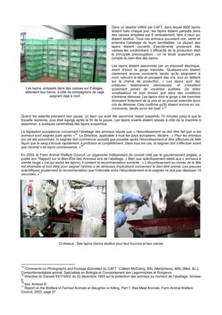 Dans un abattoir infiltré par CAFT, dans lequel 9000 lapins
                                                             étaient tués chaque jour, les lapins étaient parqués dans
                                                             des caisses empilées par 8 verticalement, face à ceux qui
                                                             étaient abattus. Tous ces animaux pouvaient voir, sentir et
                                                             entendre l’abattage de leurs semblables. La plupart des
                                                             lapins étaient couverts d’excréments provenant des
                                                             caisses les surplombant. L’efficacité de la production était
                                                             la principale préoccupation ; on ne tenait quasiment pas
                                                             compte du bien-être des lapins.

                                                             Les lapins étaient assommés par un dispositif électrique,
                                                             avant d’avoir la gorge tranchée. Quelques-uns étaient
                                                             clairement encore conscients tandis qu’ils saignaient à
                                                             mort, relevant la tête et poussant des cris, tout en défilant
                                                             sur la chaîne de production. « Les lapins sont des
                                                             créatures relativement silencieuses, et n’émettent
     Les lapins, entassés dans des caisses sur 8 étages,     quasiment jamais de vocalises audibles. De telles
     attendent leur heure, à côté de compagnons de cage      vocalisations ne sont émises que dans des conditions
                     saignant déjà à mort                    d’extrême détresse. Les lapins dont la gorge a été tranchée
                                                             donnaient fortement de la voix et on pouvait entendre leurs
                                                             cris de détresse. Cela confirme qu’ils étaient encore en vie,
                                                                                                  14
                                                             conscients, tandis qu’on les tuait. »

Quand les salariés prenaient leur pause, un lapin qui avait été assommé restait suspendu 10 minutes jusqu’à que le
travaille reprenne, puis était égorgé après la fin de la pause. Les lapins vivants étaient laissés à côté de la machine à
assommer, à quelques centimètres des lapins suspendus.

La législation européenne concernant l’abattage des animaux stipule que « l’étourdissement ne doit être fait que si les
                                     15
animaux sont saignés juste après » . La Directive, applicable à tous les pays européens, déclare : « Pour les animaux
qui ont été assommés, la saignée doit commencer aussitôt que possible après l’étourdissement et être effectuée de telle
façon que le sang s’écoule rapidement, à profusion et complètement. Dans tous les cas, la saignée doit s’effectuer avant
                                         16
que l’animal n’ait repris connaissance. »

En 2003, le Farm Animal Welfare Council, un organisme indépendant de conseil créé par le gouvernement anglais, a
publié son “Rapport sur le Bien-Être des Animaux lors de l’abattage. » Bien que spécifiquement dédié aux « animaux à
viande rouge » (ce qui exclut les lapins), il contient la recommandation suivante : « L’étourdissement au niveau de la tête
est réversible et tout délai pour saigner l’animal a de sérieuses implications concernant le bien-être animal. Les preuves
scientifiques soutiennent la recommandation que l’intervalle entre l’étourdissement et la saignée ne doit pas dépasser 15
             17
secondes. »




                          Ci-dessus : Des lapins blancs abattus pour leur fourrure et leur viande




14
   ‘Comments on Photographs and Footage Submitted by CAFT’ Colleen McDuling, BSc (Med)(Hons), MSc (Med. Sc.),
Comportementaliste animal, Spécialiste en Biologie et Comportement des Lagomorphes et Rongeurs
15
   Directive du Conseil 93/119/EC du 22 décembre 1993 sur la protection des animaux au moment de l’abattage. Annexe
C
16
   ibid; Annexe D
17
   Report on the Welfare of Farmed Animals at Slaughter or Killing. Part 1: Red Meat Animals. Farm Animal Welfare
Council, 2003, page 37
 