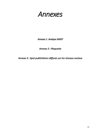15
Annexes
Annexe 1 : Analyse SWOT
Annexe 2 : Plaquette
Annexe 3 : Spot publicitaires diffusés sur les réseaux sociaux
 