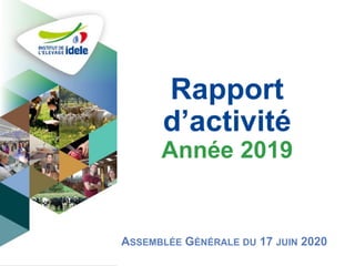 Rapport
d’activité
Année 2019
ASSEMBLÉE GÉNÉRALE DU 17 JUIN 2020
 