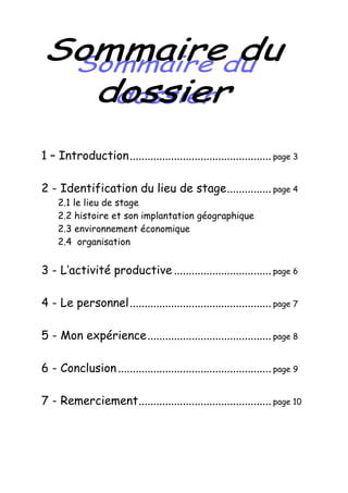 Rapport Dans Un Magasin Automobile