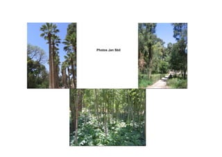 Photos Jan Sbil




       130
 