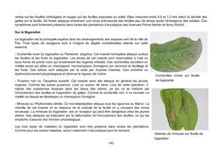 vertes sur les feuilles ombragées et rouges sur les feuilles exposées au soleil. Elles mesurent entre 0.9 et 1.2 mm selon la densité des
galles sur la feuille. De fortes attaques entraînent une chute prématurée des feuilles peu de temps après l'émergence des adultes. Ces
symptômes sont fortement présents dans toutes les plantations d’eucalyptus des Avenues Prince héritier et Ibnou Rochd.

Sur le Bigaradier

Le bigaradier est la principale espèce dans les aménagements des espaces vert de la ville de
Fès. Trois types de ravageurs sont à l’origine de dégâts considérables relevés sur cette
essence.

- Cochenille noire du bigaradier ou Parlatoria zizyphus. Cet insecte homoptère attaque surtout
les feuilles et les fruits du bigaradier. Les larves de cet insecte sont observables à l’œil nu
sous forme de points noirs qui envahissent les organes infestés. Ces cochenilles secrètent un
miellat sucré qui attire un champignon microscopique (fumagine) qui recouvre le feuillage et
les fruits. Ces arbres sont attaqués par la suite par d’autres insectes. Ceci entraîne un
dysfonctionnement physiologique et diminue la vigueur de l’arbre.
                                                                                                    Cochenilles noires sur feuille
- Puceron noir ou Taxoptera aurantii. Cet insecte sans ails attaque en général les jeunes           de bigaradier
organes. Comme les autres pucerons, c’est un suceur de sève. Lors de cette opération, il
injecte des substances toxiques dans les tissus des arbres, ce qui va se traduire par
l’enroulement des feuilles et l’apparition de galles. Comme la cochenille noir, il va excréter un
miellat sur lequel se développe un champignon fumagine.

- Mineuse ou Phyllocnistis citrella. Ce microlépidoptère attaque tous les agrumes au Maroc. La
chenille de cet insecte vit au dessous de la cuticule de la feuille en y creusant des mines
sinueuses. La mineuse du bigaradier est un ravageur qui peut être dangereux chez les jeunes
arbres. Ses attaques se traduisent par la déformation et l’enroulement des feuilles, ce qui les
empêche d’assurer leur fonction physiologique.

Les trois types de maladies du bigaradier sont très présents dans toutes les plantations.
Comme pour les autres maladies, aucun traitement n’est pratiqué pour le moment.
                                                                                                    Galeries de mineuse sur feuille de
                                                                                                    bigaradier.
                                                                   142
 
