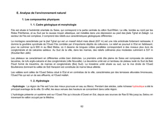 E. Analyse de l’environnement naturel

          1. Les composantes physiques

                  1. 1. Cadre géologique et morphologie

Fès est située à l’extrémité orientale du Saiss, qui correspond à la partie centrale du sillon Sud-Rifain. La ville, bordée au nord par les
Rides Prérifaines, et au Sud par le causse moyen atlastique, est installée dans une dépression au pied des jbels Tghat et Zalagh. Le
secteur de Fès est complexe, il comprend des reliefs aux caractéristiques géologiques différentes :

La montagne caractérisée par le jbel Tghat qui est un massif réduit mais élevé (837 m) est une ride anticlinale fortement redressée, il
domine la gouttière synclinale de l’Oued Fès comblée par d’importants dépôts de colluvions. Le relief se poursuit à l’Est en faiblissant,
pour ne culminer qu’à 600 m au Bled Msika, où il dessine de longues crêtes parallèles correspondant à des niveaux plus durs de
conglomérats et de calcaires sableux. Au Sud de la ville, dans les marnes, des reliefs collinaires plus modestes culminent à 537 m
(Koudiat Ben Jelik)

Les plateaux se caractérisent en différentes unités bien distinctes. La première unité dite plaine de Saiss est composée de calcaire
lacustres, de tufs argilo-calcaire et des conglomérats (ville Nouvelle). La deuxième unité est un lambeau de plateau isolé du Sud de Bab
Ftouh formé de travertins, de marnes et conglomérats (Borj Sud). La troisiéme unité située au sud, sur la rive droite de l’Oued
Boufekrane dominant la vallée de Sidi Harazem est constituée de marne bleue altérée.

Les vallées sont celles de l’Oued Sebou situé à l’Est et en contrebas de la ville, caractérisées par des terrasses alluviales limoneuses,
l’Oued Fès qui est un de ses affluents, et l’Oued mellah.

                  1. 2. Hydrologie

- Hydrologie : La région de Fès est l’une des mieux pourvues en eau au Maroc. Pendant des siècles, cette richesse hydraulique a été le
principal avantage de la ville. En effet, les eaux venues des hauteurs se concentrent dans cette région.

L’hydrologie présente un système axé sur l’Oued Fès qui s’écoule d’Ouest en Est, depuis ses sources de Ras El Ma jusqu’au Sebou en
traversant le vallon occupé par la Médina.


                                                                    62
 
