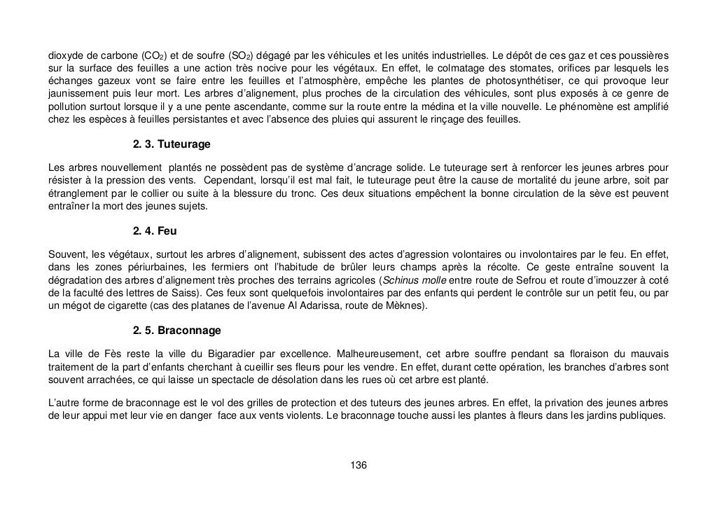 Rapport de diagnostic