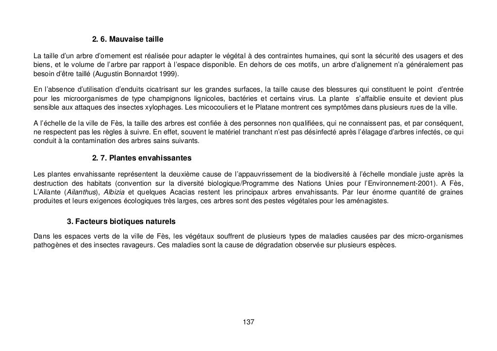 Rapport de diagnostic