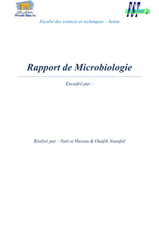 Faculté des sciences et techniques – Settat
Rapport de Microbiologie
Encadré par :
Réalisé par : Nait-si Hassan & Ouafik Naoufal
 