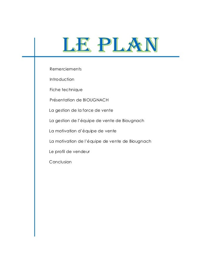 Rapport De Mini Stage En Force De Vente