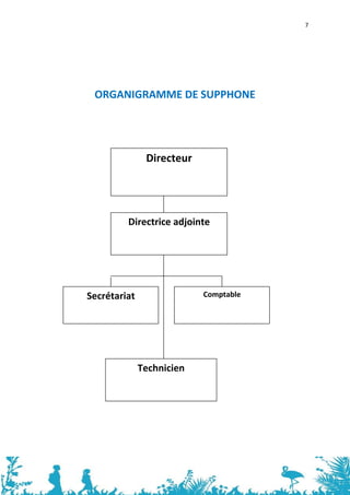 7




  ORGANIGRAMME DE SUPPHONE




                    Directeur


               Mr Youssef Smahi
                Directrice adjointe


               Mme Hachemia Smahi



Secrétariat                      Comptable


                                Mme Jamila
Mlle Hassnae




                  Technicien


          Mr Mustafa Smahi




                                             7
 