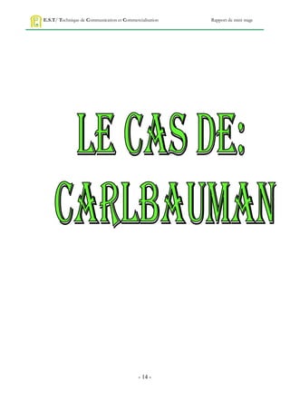 E.S.T/ Technique de Communication et Commercialisation   Rapport de mini stage




                                            - 14 -
 