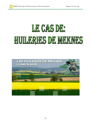 E.S.T/ Technique de Communication et Commercialisation   Rapport de mini stage




                                             -5-
 