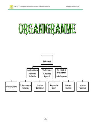 E.S.T/ Technique de Communication et Commercialisation   Rapport de mini stage




                                             -7-
 