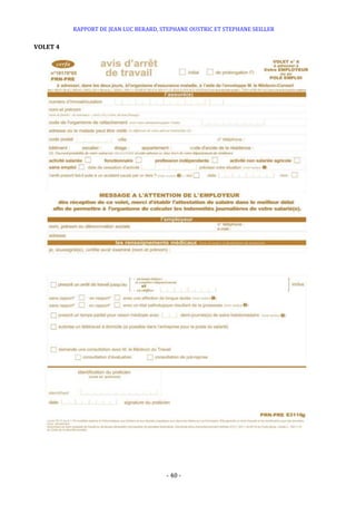 RAPPORT DE JEAN LUC BERARD, STEPHANE OUSTRIC ET STEPHANE SEILLER
- 40 -
VOLET 4
 