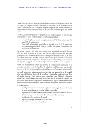 RAPPORT DE JEAN LUC BERARD, STEPHANE OUSTRIC ET STEPHANE SEILLER
- 45 -
 
