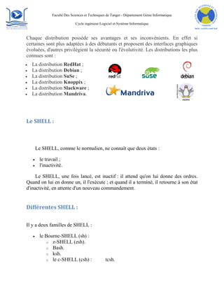 Rapport De Projet Shell