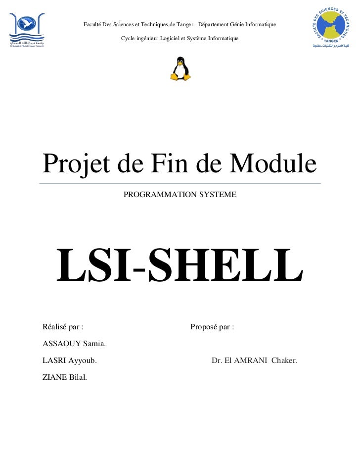 Rapport De Projet Shell