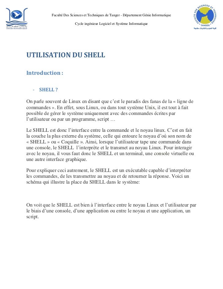 Rapport De Projet Shell
