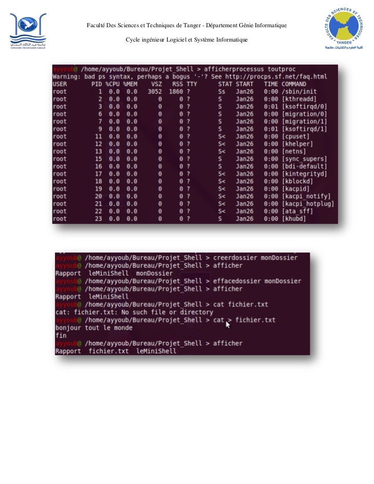 Rapport De Projet Shell