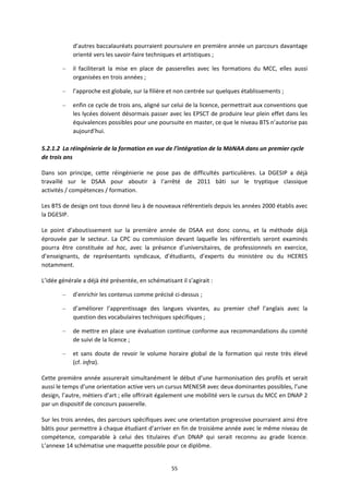 55
d’autres baccalauréats pourraient poursuivre en première année un parcours davantage
orienté vers les savoir faire techniques et artistiques ;
– il faciliterait la mise en place de passerelles avec les formations du MCC, elles aussi
organisées en trois années ;
– l’approche est globale, sur la filière et non centrée sur quelques établissements ;
– enfin ce cycle de trois ans, aligné sur celui de la licence, permettrait aux conventions que
les lycées doivent désormais passer avec les EPSCT de produire leur plein effet dans les
équivalences possibles pour une poursuite en master, ce que le niveau BTS n’autorise pas
aujourd’hui.
5.2.1.2 La réingénierie de la formation en vue de l’intégration de la MàNAA dans un premier cycle
de trois ans
Dans son principe, cette réingénierie ne pose pas de difficultés particulières. La DGESIP a déjà
travaillé sur le DSAA pour aboutir à l’arrêté de 2011 bâti sur le tryptique classique
activités / compétences / formation.
Les BTS de design ont tous donné lieu à de nouveaux référentiels depuis les années 2000 établis avec
la DGESIP.
Le point d’aboutissement sur la première année de DSAA est donc connu, et la méthode déjà
éprouvée par le secteur. La CPC ou commission devant laquelle les référentiels seront examinés
pourra être constituée ad hoc, avec la présence d’universitaires, de professionnels en exercice,
d’enseignants, de représentants syndicaux, d’étudiants, d’experts du ministère ou du HCERES
notamment.
L’idée générale a déjà été présentée, en schématisant il s’agirait :
– d’enrichir les contenus comme précisé ci dessus ;
– d’améliorer l’apprentissage des langues vivantes, au premier chef l’anglais avec la
question des vocabulaires techniques spécifiques ;
– de mettre en place une évaluation continue conforme aux recommandations du comité
de suivi de la licence ;
– et sans doute de revoir le volume horaire global de la formation qui reste très élevé
(cf. infra).
Cette première année assurerait simultanément le début d’une harmonisation des profils et serait
aussi le temps d’une orientation active vers un cursus MENESR avec deux dominantes possibles, l’une
design, l’autre, métiers d’art ; elle offrirait également une mobilité vers le cursus du MCC en DNAP 2
par un dispositif de concours passerelle.
Sur les trois années, des parcours spécifiques avec une orientation progressive pourraient ainsi être
bâtis pour permettre à chaque étudiant d’arriver en fin de troisième année avec le même niveau de
compétence, comparable à celui des titulaires d’un DNAP qui serait reconnu au grade licence.
L’annexe 14 schématise une maquette possible pour ce diplôme.
 