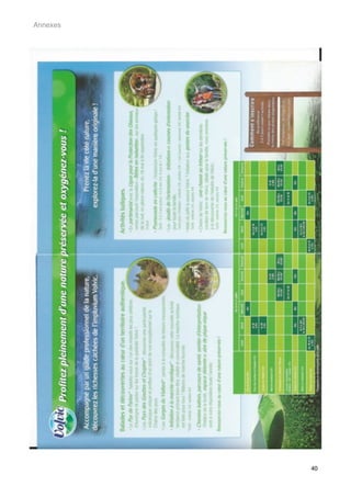 Annexes




          40
 