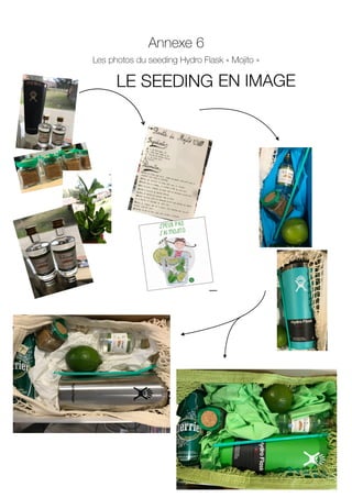 Annexe 6
Les photos du seeding Hydro Flask « Mojito »
25
LE SEEDING EN IMAGE!

LE SEEDING EN IMAGE!

 