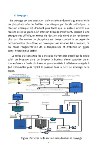 16
d. Broyage :
Le broyage est une opération qui consiste à réduire la granulométrie
du phosphate afin de faciliter son attaque par l’acide sulfurique. La
réaction chimique est d’autant plus facile que la surface offerte aux
réactifs est plus grande. En effet un broyage insuffisant, conduit à une
attaque très difficile, un temps de réaction très élevé et un rendement
plus bas. Par contre un phosphate sur broyé conduit à un degré de
décomposition plus élevé, et provoque une attaque très poussée, ce
qui cause l’augmentation de la température et d’obtenir un gypse
semi– hydrate plus stable.
Le refus qui constitue les particules n’ayant pas passé par le crible
subit un broyage dans un broyeur à boulets d’une capacité de 51
tonnes/heure a fin de diminuer sa granulométrie à inférieure ou égale à
500 micromètre puis rejoint le passant dans la cuve de stockage de la
pulpe.
Figure : Schéma de la section manutention et broyage
 