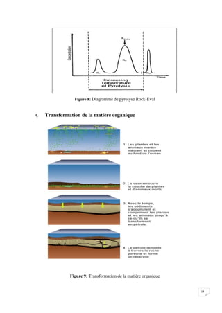 Figure 8: Diagramme de pyrolyse Rock-Eval


4.   Transformation de la matière organique




               Figure 9: Transformation de la matière organique


                                                                  14
 