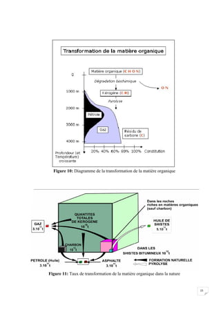 Figure 10: Diagramme de la transformation de la matière organique




Figure 11: Taux de transformation de la matière organique dans la nature


                                                                           15
 