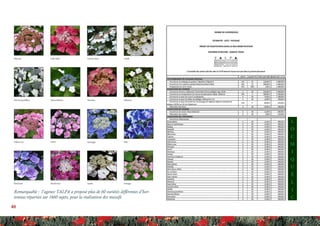 46
Remarquable : l’agence TALPA a proposé plus de 60 variétés différentes d’hor-
tensias réparties sur 1660 sujets, pour la réalisation des massifs
L
O
C
M
I
Q
U
É
L
I
C
 