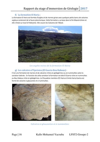 Rapport du stage d’immersion de Géologie 2017
Page | 16 Kallo Mohamed Yacouba LFST2-Groupe-2
f) La formation El Haria :
La...