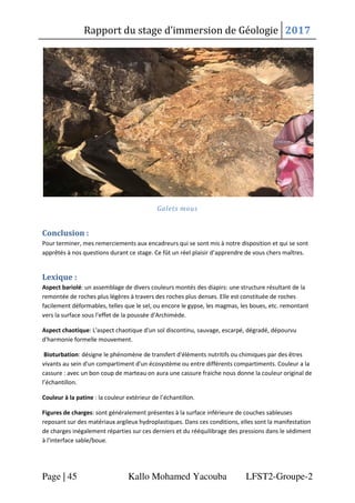 Rapport du stage d’immersion de Géologie 2017
Page | 45 Kallo Mohamed Yacouba LFST2-Groupe-2
Galets mous
Conclusion :
Pour...