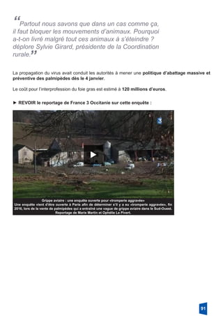 “Partout nous savons que dans un cas comme ça,
il faut bloquer les mouvements d’animaux. Pourquoi
a-t-on livré malgré tout ces animaux à s’éteindre ?
déplore Sylvie Girard, présidente de la Coordination
rurale.
”
La propagation du virus avait conduit les autorités à mener une politique d’abattage massive et
préventive des palmipèdes dès le 4 janvier.
Le coût pour l’interprofession du foie gras est estimé à 120 millions d’euros.
Grippe aviaire : une enquête ouverte pour «tromperie aggravée»
Une enquête vient d’être ouverte à Paris afin de déterminer s’il y a eu «tromperie aggravée», fin
2016, lors de la vente de palmipèdes qui a entraîné une vague de grippe aviaire dans le Sud-Ouest.
Reportage de Marie Martin et Ophélie Le Pivert.
► REVOIR le reportage de France 3 Occitanie sur cette enquête :
91
 