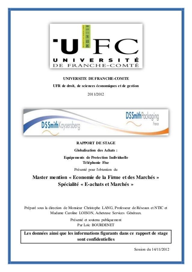 Exemple De Rapport De Stage Master  Le Meilleur Exemple