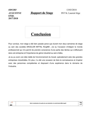 Rapport De Stage Tfe