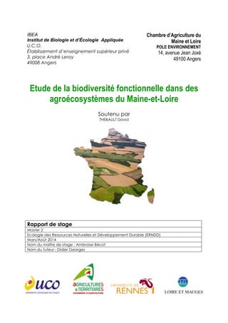 Rapport De Stage Master 2 2014 2015