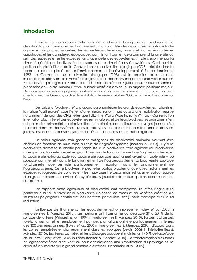 Rapport de stage Master 2_2014/2015
