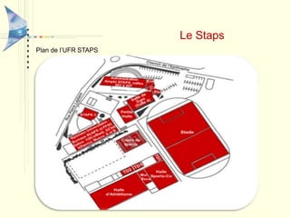 SportPrésentationL’université comporte 6 UFR :