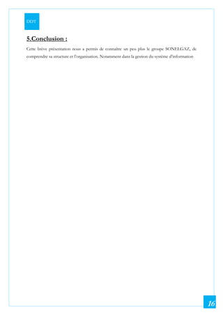 DDT
16
5.Conclusion :
Cette brève présentation nous a permis de connaître un peu plus le groupe SONELGAZ, de
comprendre sa structure et l’organisation. Notamment dans la gestion du système d’information
 