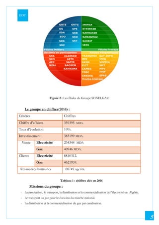 DDT
5
Figure 2 : Les filiales du Groupe SONELGAZ.
Le groupe en chiffres(2016) :
Critères Chiffres
Chiffre d’affaires 359395 MDA.
Taux d’évolution 10%.
Investissement 385199 MDA.
Vente Electricité 234344 MDA
Gaz 40946 MDA.
Clients Electricité 8810312.
Gaz 4621959.
Ressources humaines 88749 agents.
Tableau 1 : chiffres clés en 2016
Missions du groupe :
- La production, le transport, la distribution et la commercialisation de l’électricité en Algérie.
- Le transport du gaz pour les besoins du marché national.
- La distribution et la commercialisation du gaz par canalisation.
 