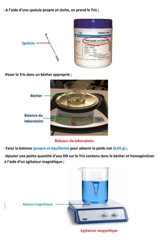 -A l’aide d’une spatule propre et sèche, on prend le Tris ;
-Peser le Tris dans un bécher approprié ;
Balance du laboratoire
-Tarer la balance (propre et équilibrée) pour obtenir le poids net (6,05 g) ;
-Ajouter une petite quantité d’eau DD sur le Tris contenu dans le bécher et homogénéiser
à l’aide d’un agitateur magnétique ;
Agitateur magnétique
Aimant magnétique
Spatule
Bécher
Balance du
laboratoire
 