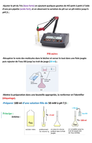 -Ajuster le pH du Tris (base forte) en ajoutant quelques gouttes de HCl petit à petit à l’aide
d’une pro pipette (acide fort), et en observant la variation du pH sur un pH-mètre jusqu’à
pH7,5 ;
PH-mètre
-Récupérer le reste des molécules dans le bécher et verser le tout dans une fiole jaugée
puis rajouter de l’eau DD jusqu’au trait de jauge (50 ml) ;
-Mettre la préparation dans une bouteille appropriée, la renfermer et l’identifier
(étiquetage).
-Préparer 100 ml d’une solution fille de 50 mM à pH 7,5 :
Principe :
Schéma :
= 5 ml
= 100 ml
+ 95 ml
Eau DD
 