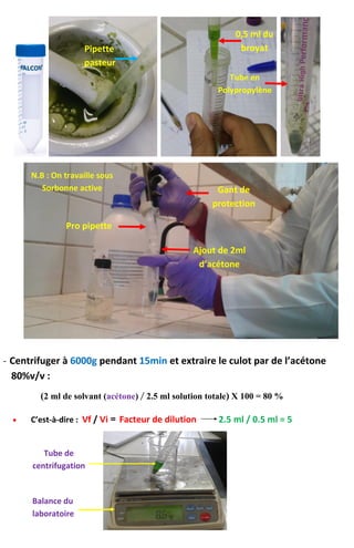 - Centrifuger à 6000g pendant 15min et extraire le culot par de l’acétone
80%v/v :
(2 ml de solvant (acétone) / 2.5 ml solution totale) X 100 = 80 %
 C’est-à-dire : Vf / Vi = Facteur de dilution 2.5 ml / 0.5 ml = 5
Ajout de 2ml
d’acétone
Pro pipette
0,5 ml du
broyat
Tube en
Polypropylène
Pipette
pasteur
N.B : On travaille sous
Sorbonne active Gant de
protection
Balance du
laboratoire
Tube de
centrifugation
 