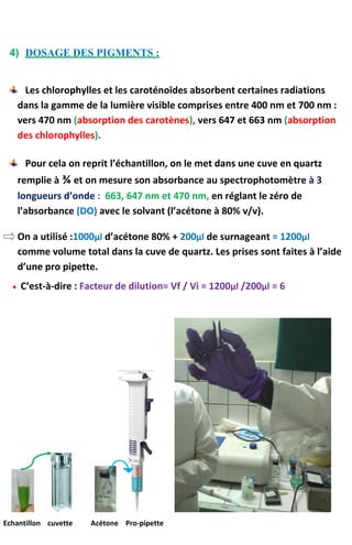4) DOSAGE DES PIGMENTS :
Les chlorophylles et les caroténoïdes absorbent certaines radiations
dans la gamme de la lumière visible comprises entre 400 nm et 700 nm :
vers 470 nm (absorption des carotènes), vers 647 et 663 nm (absorption
des chlorophylles).
Pour cela on reprit l’échantillon, on le met dans une cuve en quartz
remplie à ¾ et on mesure son absorbance au spectrophotomètre à 3
longueurs d’onde : 663, 647 nm et 470 nm, en réglant le zéro de
l’absorbance (DO) avec le solvant (l’acétone à 80% v/v).
On a utilisé :1000μl d’acétone 80% + 200μl de surnageant = 1200μl
comme volume total dans la cuve de quartz. Les prises sont faites à l’aide
d’une pro pipette.
 C’est-à-dire : Facteur de dilution= Vf / Vi = 1200μl /200μl = 6
Echantillon cuvette Acétone Pro-pipette
 