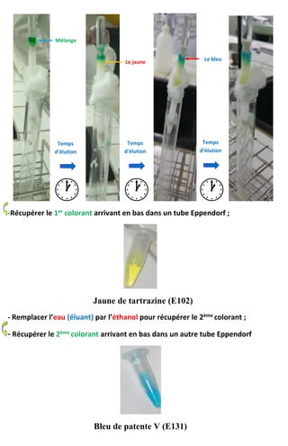 -Récupérer le 1er colorant arrivant en bas dans un tube Eppendorf ;
Jaune de tartrazine (E102)
- Remplacer l’eau (éluant) par l’éthanol pour récupérer le 2ème colorant ;
- Récupérer le 2ème colorant arrivant en bas dans un autre tube Eppendorf
Bleu de patente V (E131)
Mélange
Le bleuLe jaune
Temps
d’élution
Temps
d’élution
Temps
d’élution
 