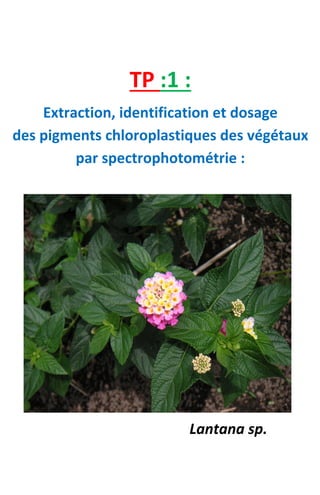 TP :1 :
Extraction, identification et dosage
des pigments chloroplastiques des végétaux
par spectrophotométrie :
Lantana sp.
 