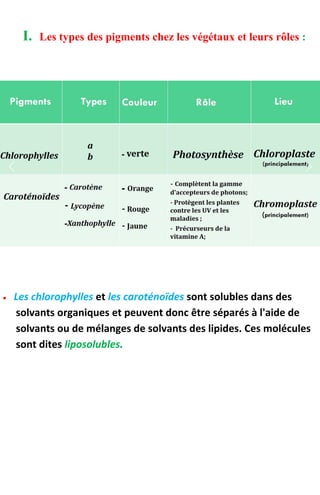 I. Les types des pigments chez les végétaux et leurs rôles :
 Les chlorophylles et les caroténoïdes sont solubles dans des
solvants organiques et peuvent donc être séparés à l'aide de
solvants ou de mélanges de solvants des lipides. Ces molécules
sont dites liposolubles.
 